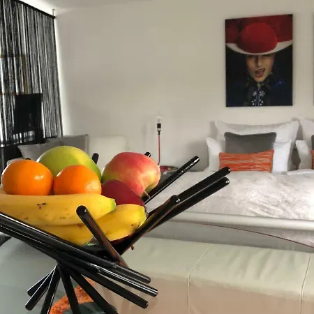 Modernes Auf Der Sonnenterrasse Διαμέρισμα Μπάντεν-Μπάντεν