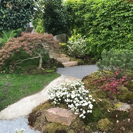 Modernes Auf Der Sonnenterrasse