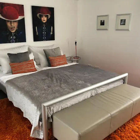 Modernes Auf Der Sonnenterrasse